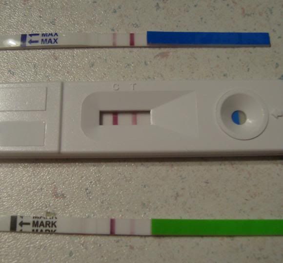 Negative Ovulation Test Could I Be Pregnant